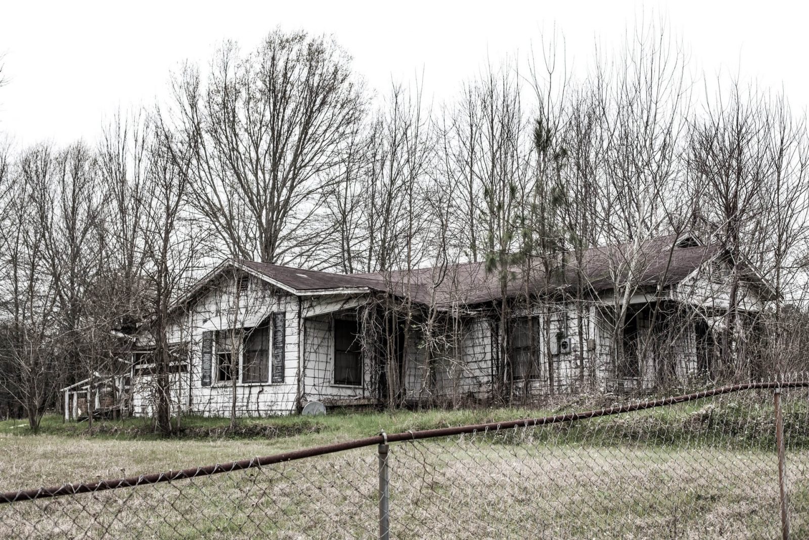 Plagas casas abandonadas